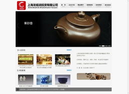 上海网络营销案例集锦 从网站建设到整合推广的精算师式成功实践